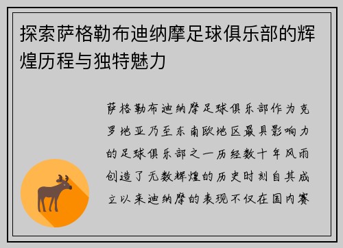 探索萨格勒布迪纳摩足球俱乐部的辉煌历程与独特魅力