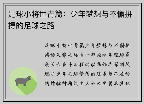 足球小将世青篇：少年梦想与不懈拼搏的足球之路